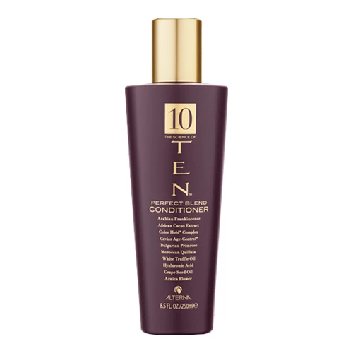 Alterna Ten Perfect Blend Conditioner 3 Alterna Ten Perfect Blend Conditioner