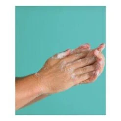 Consonant Natural Hand Wash -Aura Beauty Shop Natural Hand Wash add2 68733 5315 general