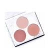 FitGlow Beauty Stillness Blush Palette -Aura Beauty Shop Stillness Blush Palette 69782 detail
