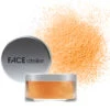 FACE Atelier Ultra Loose Powder - Translucent Pro -Aura Beauty Shop Ultra Loose Powder Blaze Pro 47648 7826 detail